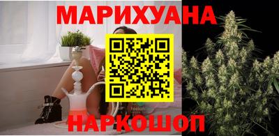 сатива Лесосибирск