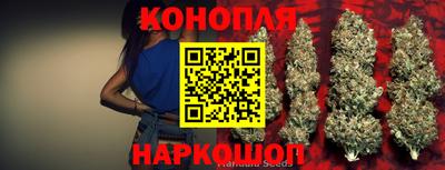 дживик Кунгур
