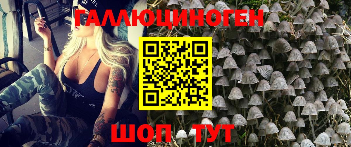 Галлюциногенные грибы GOLDEN TEACHER  Вход с VPN  Гусь-Хрустальный 