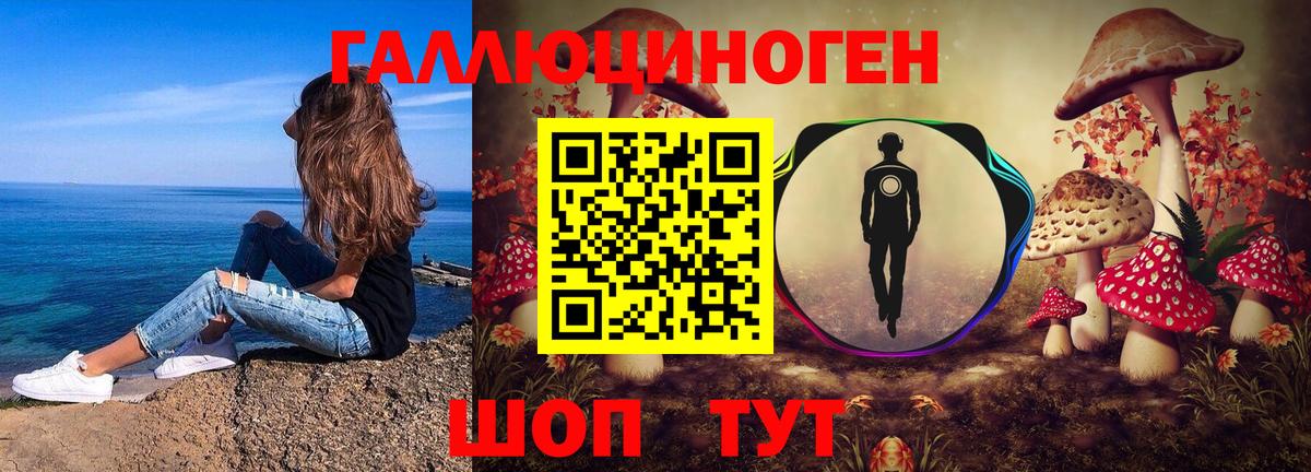 Галлюциногенные грибы мухоморы Гусь-Хрустальный